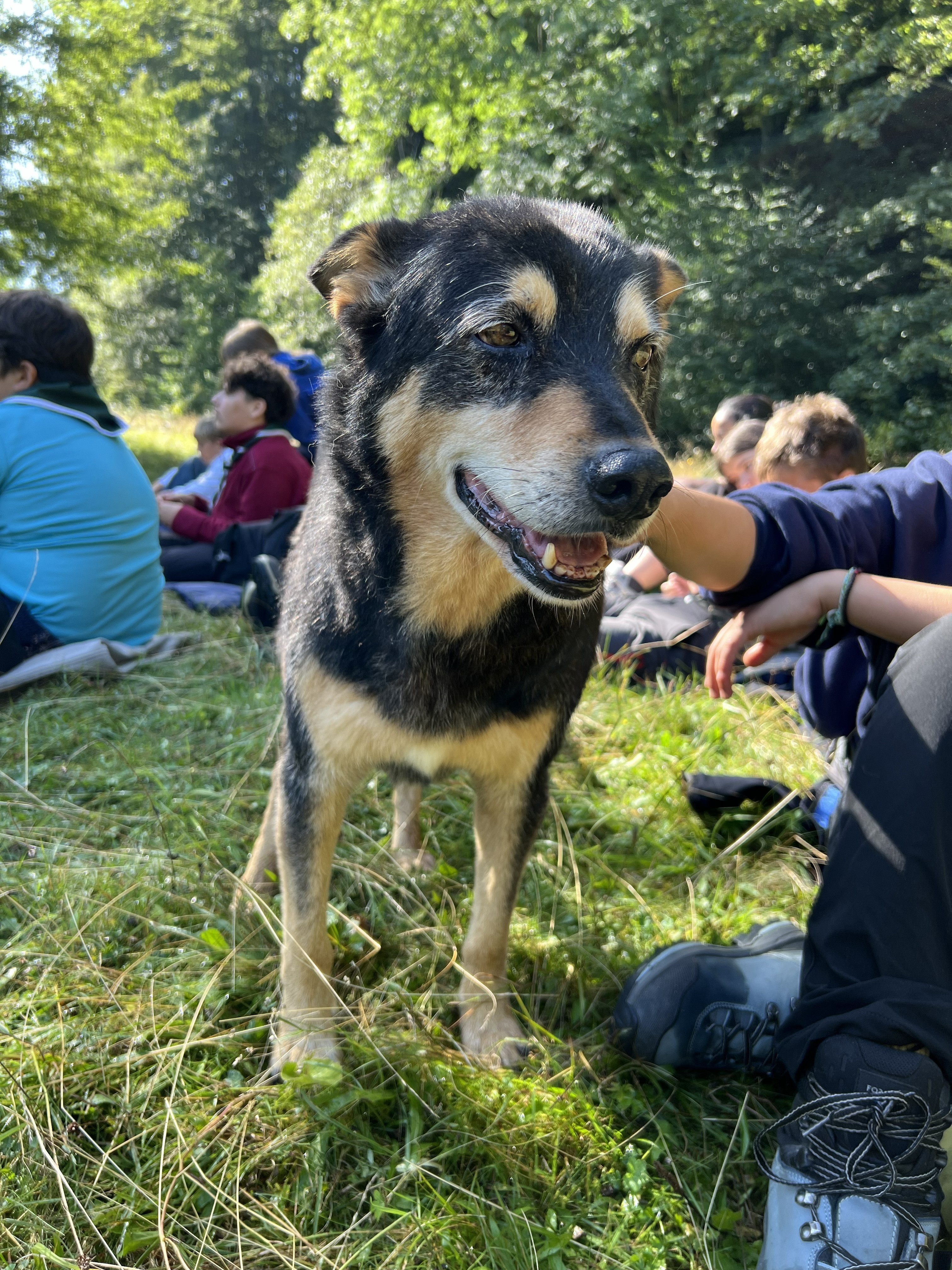 Tabăra de alpinism Zărnesti - Foto 8